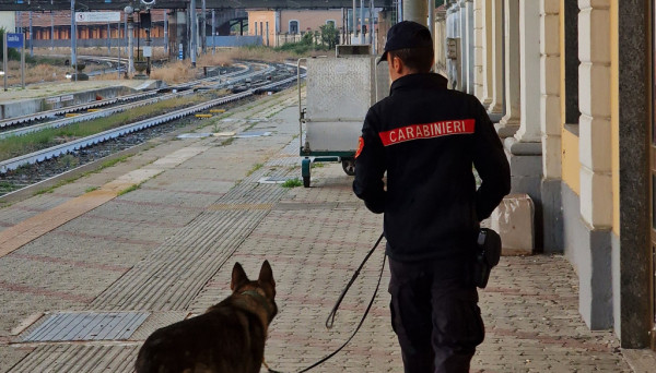 Il Monferrato Controlli Dei Carabinieri Nelle Scuole Sequestrati 15