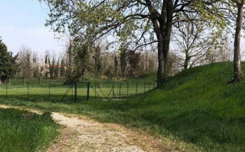 Un campo addestramento cani nell’area verde di via Rottigni