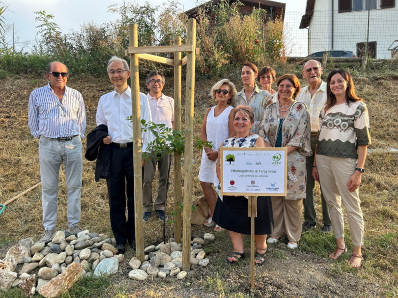 “Un albero per la resilienza”: un Hibakujumoku al Rotondino di Casale