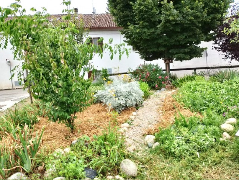 Un albero per la resilienza: ricordiamoci delle vittime