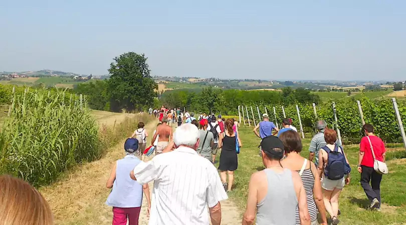 Rinviata la camminata di Ottiglio, Olivola e Frassinello