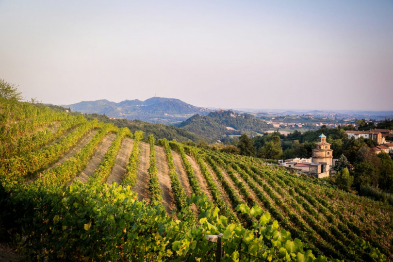 Ecco il Grignolino Monferrato Casalese Spumante Rosè Doc