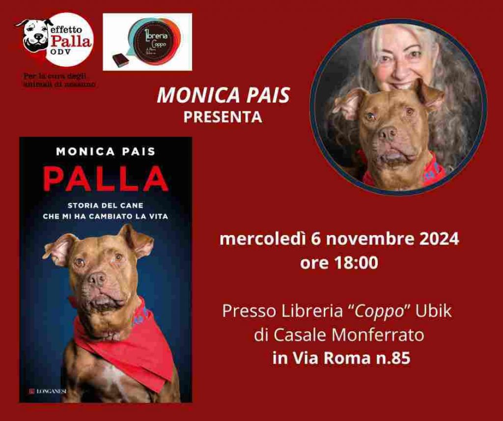 Palla, storia di un cane che mi ha cambiato la vita