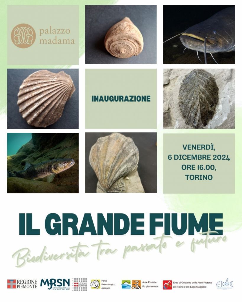 Il Grande Fiume